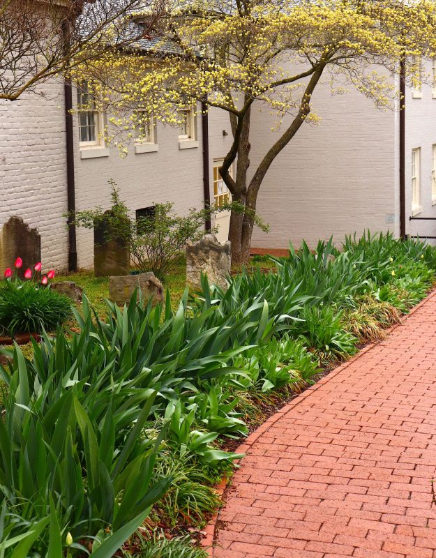 Brick Pathway Repair in Phoenix, AZ