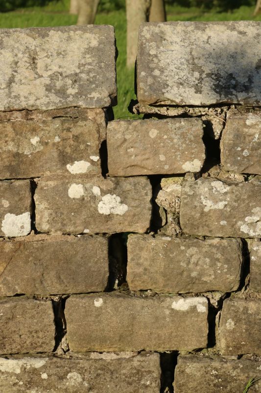 Stone Wall Repair in Phoenix, AZ